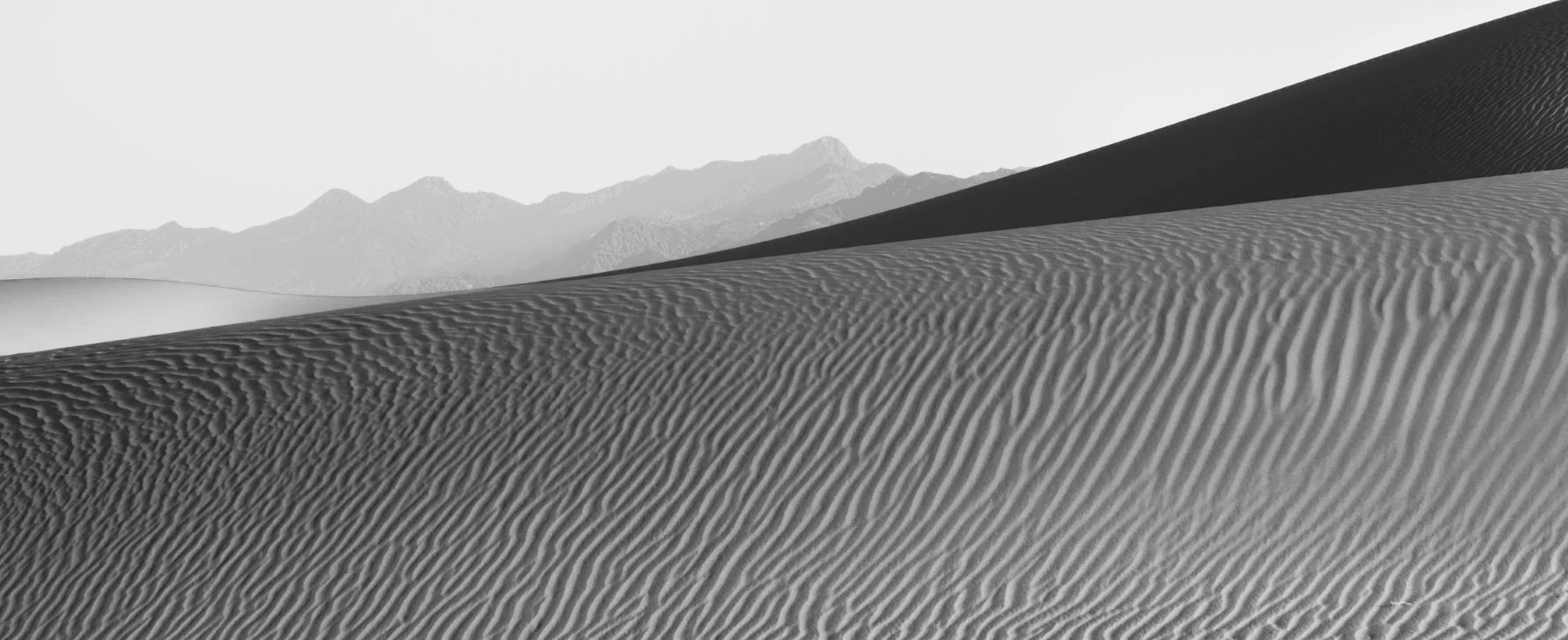 Lines of convergence on a dune — Paul Rice
