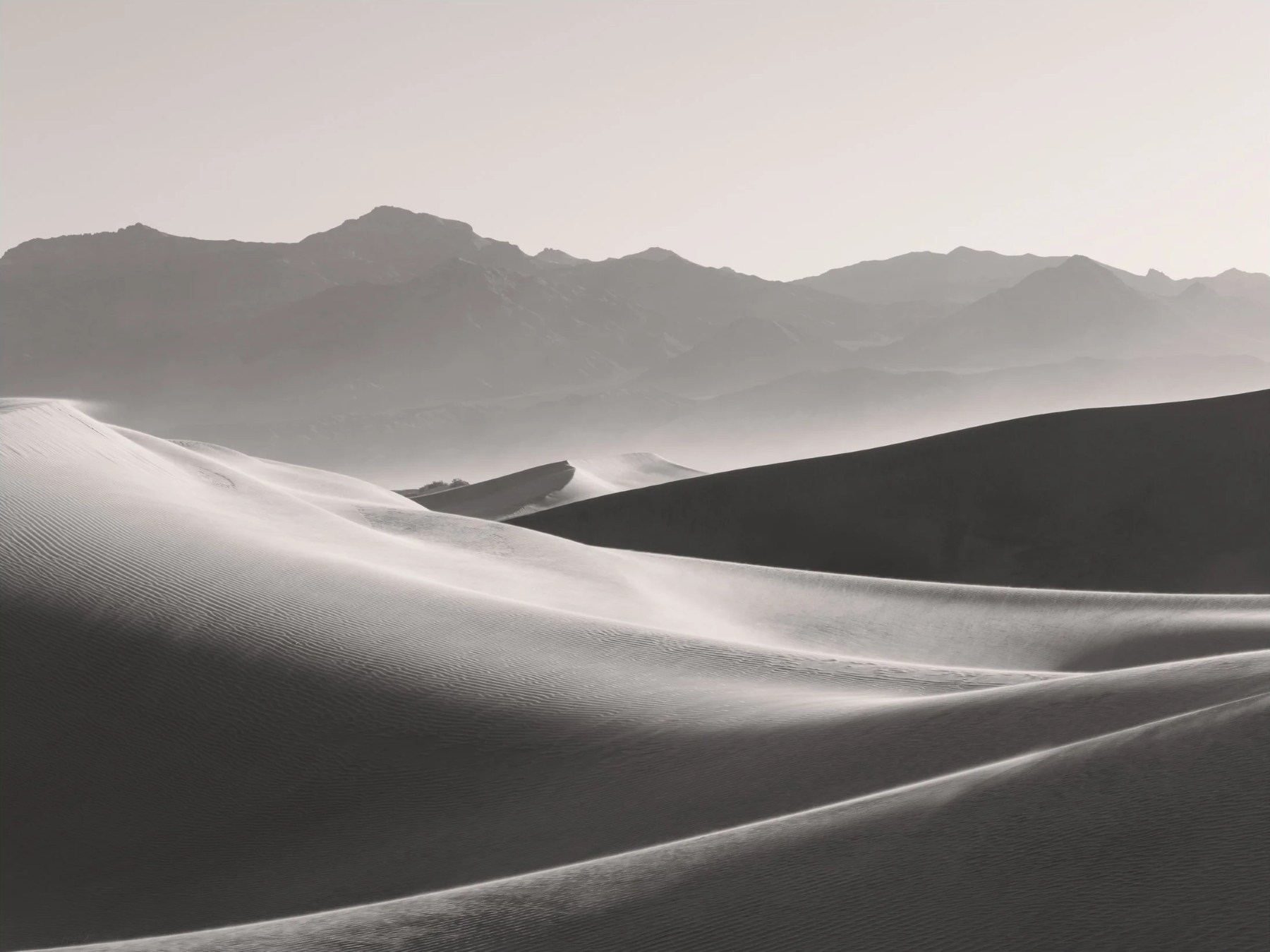 Wind on a dune at sunrise, sepia — Paul Rice