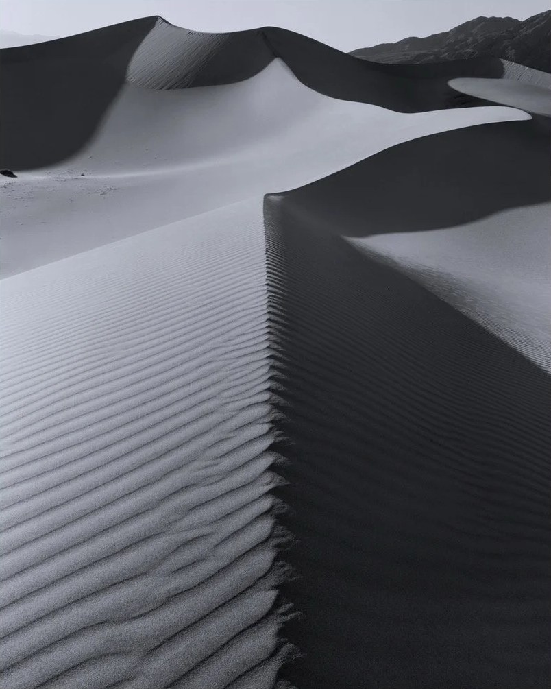 Receding dune — Paul Rice