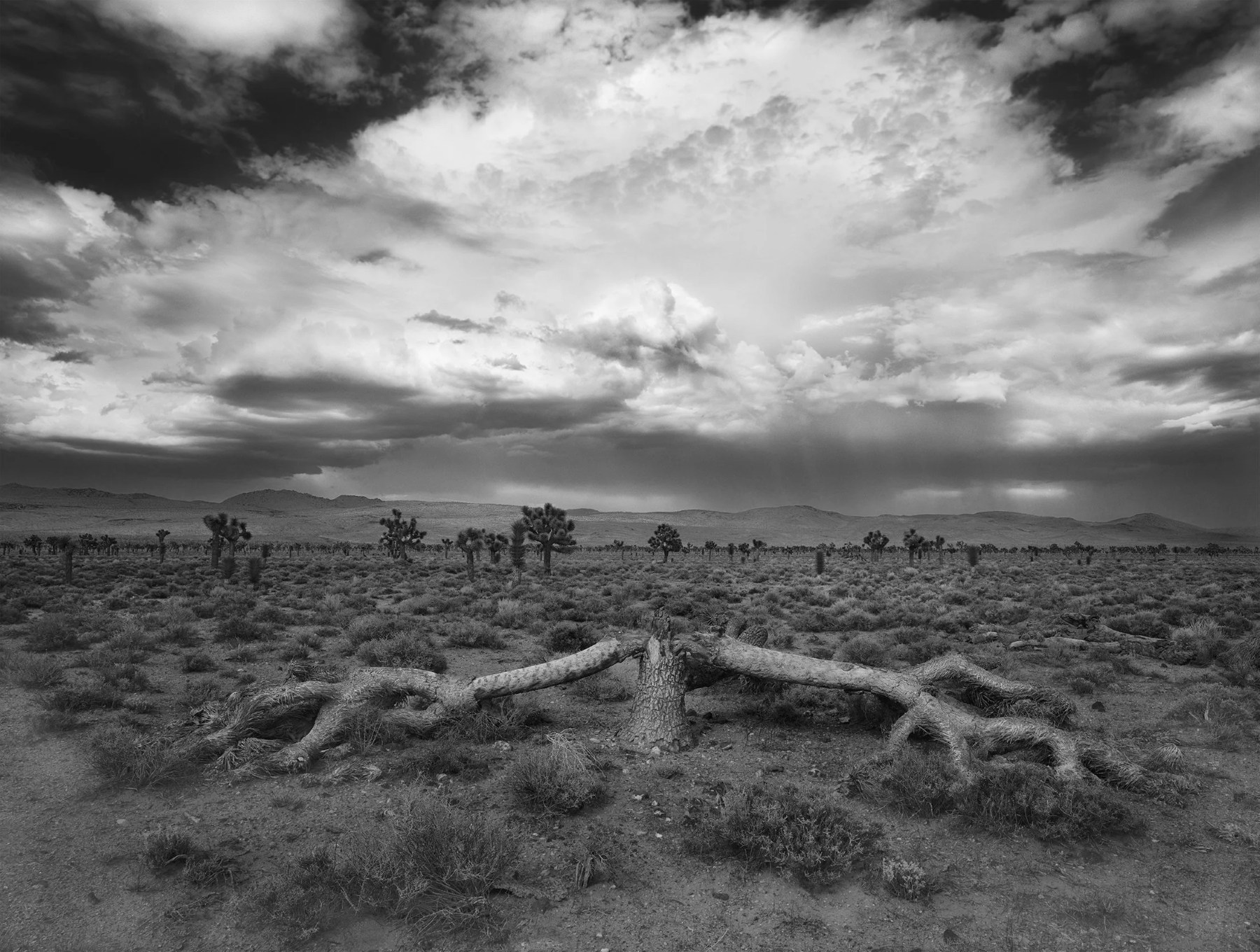 Thunderstorm over Saline Valley Road — Paul Rice