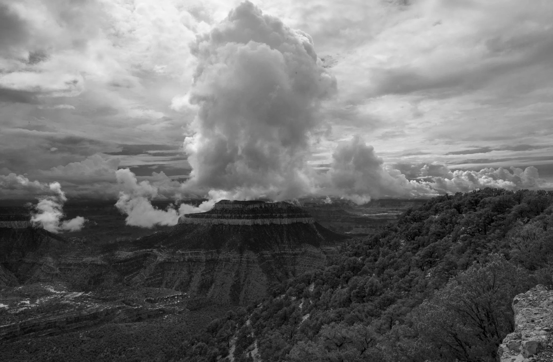 Grand Canyon study — Paul Rice